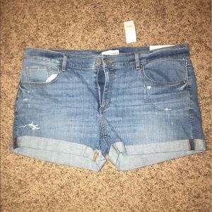 LOFT Shorts - NWT loft shorts LOFT Shorts - NWT loft shorts